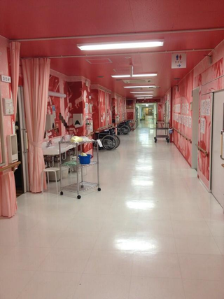 Illustration for article titled The Most Unusual Hospital I've Ever Seen